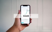掌握配资技巧，轻松打造你的财富未来